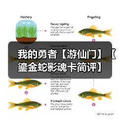我的勇者【游仙门】【鎏金蛇影魂卡简评】（图2）