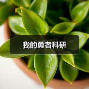 我的勇者科研（图1）