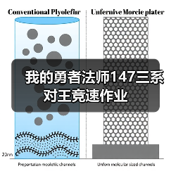 我的勇者法师147三系对王竞速作业（图3）