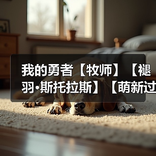 我的勇者【牧师】【褪羽·斯托拉斯】【萌新过渡新水】资源篇攻略20250510(图4) 我的勇者【牧师】【褪羽·斯托拉斯】【萌新过渡新水】资源篇攻略20250510(图4)