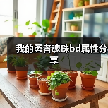 我的勇者魂珠bd属性分享（图3）