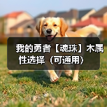 我的勇者【魂珠】木属性选择(可通用)(图3) 我的勇者【魂珠】木属性选择(可通用)(图3)
