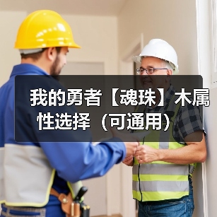 我的勇者【魂珠】木属性选择(可通用)(图4) 我的勇者【魂珠】木属性选择(可通用)(图4)