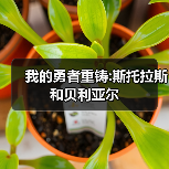 我的勇者重铸:斯托拉斯和贝利亚尔（图3）