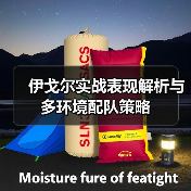 伊戈尔实战表现解析与多环境配队策略（图1）