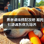 勇者魂珠搭配攻略 斯托拉斯魂系优先培养（图3）