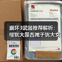 崩坏3武器推荐解析：樱犹大是否属于犹大女装？（图3）