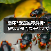 崩坏3武器推荐解析：樱犹大是否属于犹大女装？（图2）