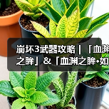 崩坏3武器攻略 | 「血渊之眸」&「血渊之眸·如一」（图4）