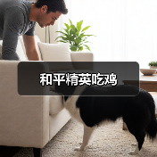 和平精英吃鸡（图2）