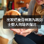 出发吧麦芬林氪九转剑士懒人向培养指北 封面图 - 玄熵冰河游戏