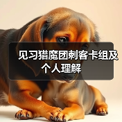 见习猎魔团刺客卡组及个人理解(图4) 见习猎魔团刺客卡组及个人理解(图4)