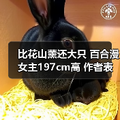 比花山薰还大只 百合漫女主197cm高 作者表示大脑混乱(图1) 比花山薰还大只 百合漫女主197cm高 作者表示大脑混乱(图1)