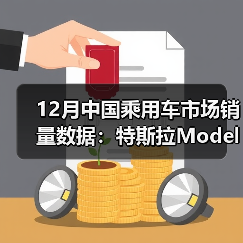 12月中国乘用车市场销量数据:特斯拉Model Y稳居第一(图2) 12月中国乘用车市场销量数据:特斯拉Model Y稳居第一(图2)