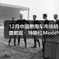 12月中国乘用车市场销量数据:特斯拉Model Y稳居第一(图1) 12月中国乘用车市场销量数据:特斯拉Model Y稳居第一(图1)
