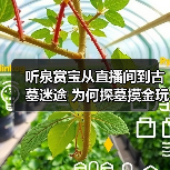 听泉赏宝从直播间到古墓迷途 为何探墓摸金玩法如此吸睛?(图4) 听泉赏宝从直播间到古墓迷途 为何探墓摸金玩法如此吸睛?(图4)