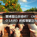 赛博朋克新标杆?《NO LAW》的叙事驱动与城市设计解析(图3) 赛博朋克新标杆?《NO LAW》的叙事驱动与城市设计解析(图3)
