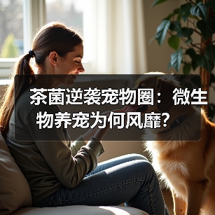 新手游戏攻略角色养成指南：资源分配与任务推进5大方法 专题封面 - 玄熵冰河游戏