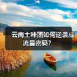 云南土味团如何逆袭成流量密码？（图4）