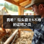 真难?街头霸王6不难的证明之战(图1) 真难?街头霸王6不难的证明之战(图1)