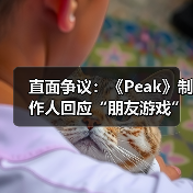 直面争议：《Peak》制作人回应“朋友游戏”分类质疑（图1）