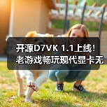 开源D7VK 1.1上线！老游戏畅玩现代显卡无压力 封面图 - 玄熵冰河游戏
