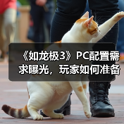 《如龙极3》PC配置需求曝光，玩家如何准备？（图3）