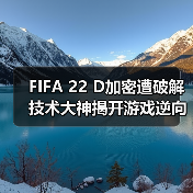 FIFA 22 D加密遭破解 技术大神揭开游戏逆向工程新突破（图3）