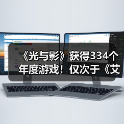 《光与影》获得334个年度游戏！仅次于《艾尔登法环》（图3）
