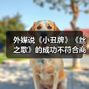 外媒说《小丑牌》《丝之歌》的成功不符合商业逻辑！（图2）