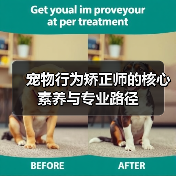 宠物行为矫正师的核心素养与专业路径(图2) 宠物行为矫正师的核心素养与专业路径(图2)