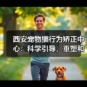 西安宠物猫行为矫正中心：科学引导，重塑和谐共居关系 封面图 - 玄熵冰河游戏