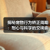 揭秘宠物行为矫正周期:耐心与科学的交响曲(图4) 揭秘宠物行为矫正周期:耐心与科学的交响曲(图4)