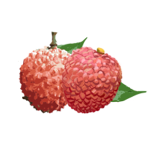 增城泊车官方版 - 冰河游戏生活实用下载（大小：74.86MB）