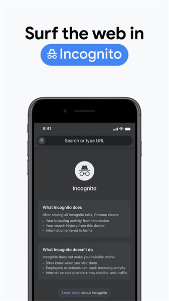 谷歌浏览器iphone版 软件截图5
