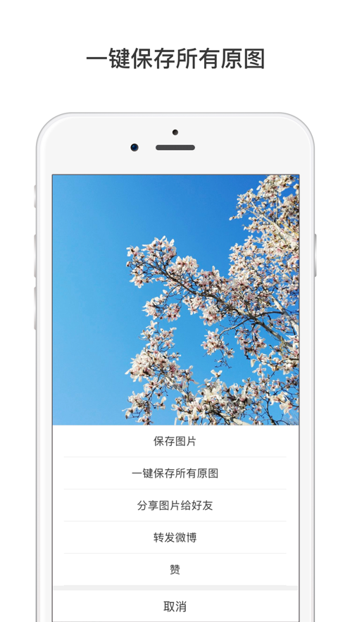 微博国际版iPhone客户端 软件截图5