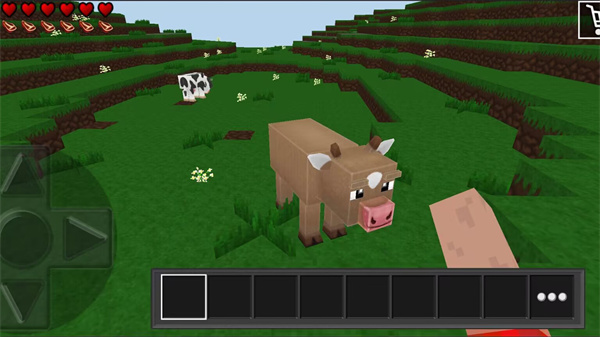 荒野之王 软件截图4