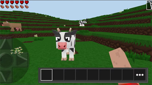 荒野之王 软件截图5